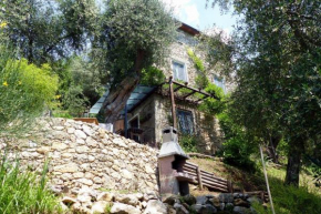 Il Giaggiolo